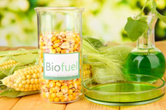 Trondavoe biofuel availability