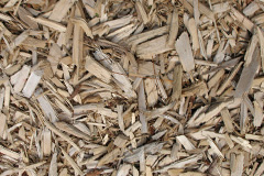 biomass boilers Trondavoe